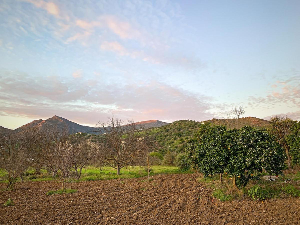 Vivelorural Casa Y Piscina En Zahara De La Sierra Exterior foto